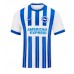 Camisa de Futebol Brighton Danny Welbeck #18 Equipamento Principal 2024-25 Manga Curta